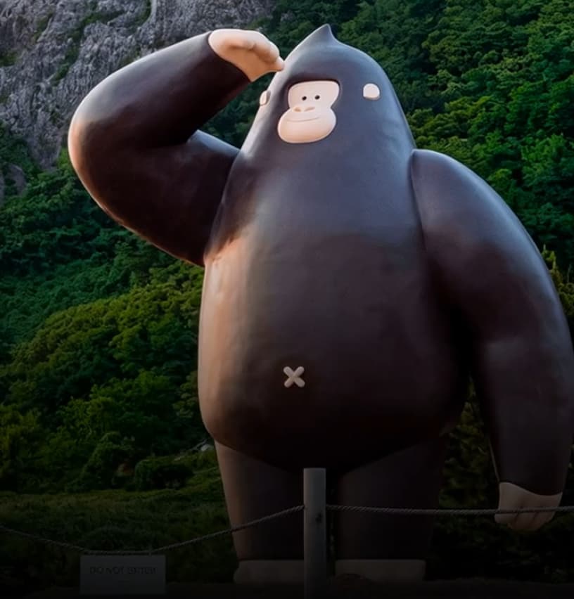 고품격 울릉도 & 독도 프리미엄 패키지 여행